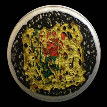 Adi Shakti, Painting by Vaishali Oak,Fabric Assemblage on Aluminium Plate, 28inches-diameter