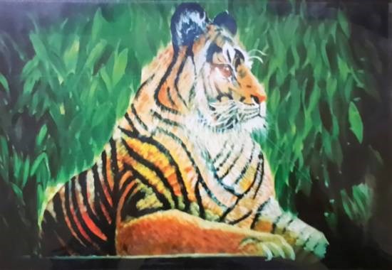 The lonely Tiger, painting by Aman Khandelwal