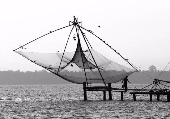 Morning Duty - Ashtamudi lake, near Kochi, Kerala, photograph by Kumar Mangwani