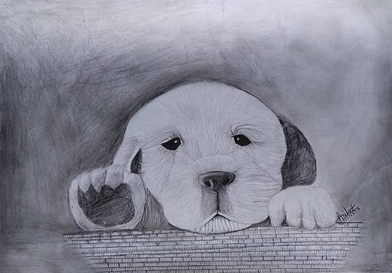 Painting  by Aniket Vibhute - Golden retriever puppy