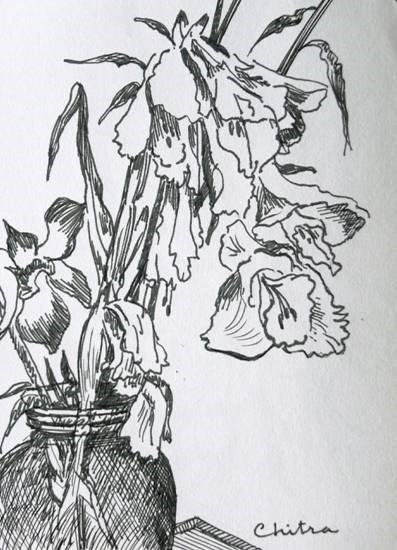 Flowers Sketch - 1, painting by Chitra Vaidya