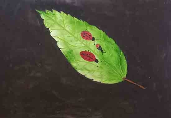 Painting  by Malavika V P - Life on leaf