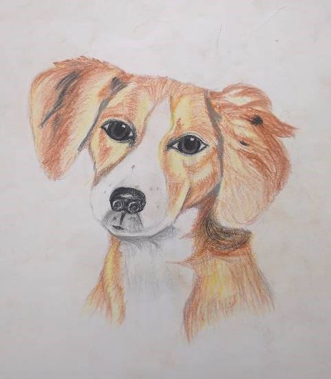 Dog, painting by Sahil Anand Kanojiya