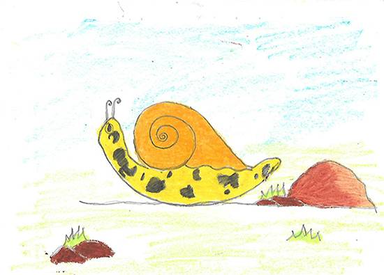 Painting  by Isha Bhattacharjee - Snail at the shore