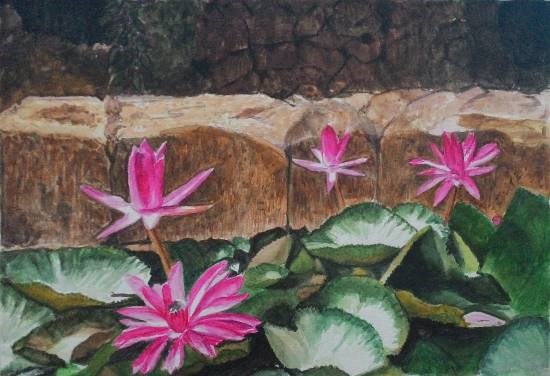 Water Lily, painting by Mrudula Bapat