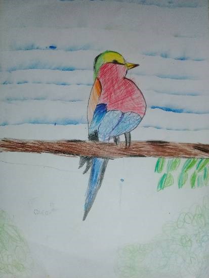 Bird, painting by Heet Bagrecha