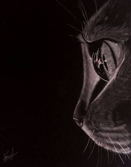 Painting  by Pranjal Singh - The cat