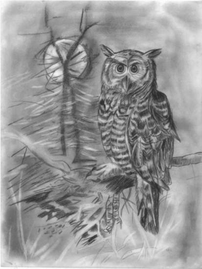 Painting  by Kalash Durgesh Desai - Owl