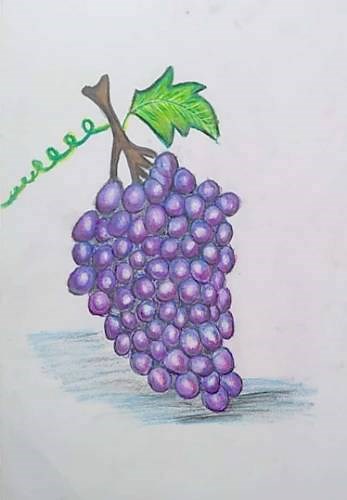Bunch of grapes, painting by Toshani Mehra