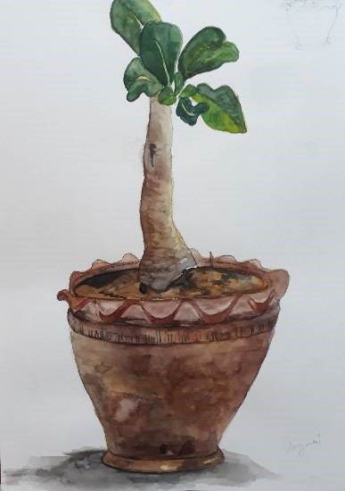My plant at home, painting by Sayuri Sunil Bhanap