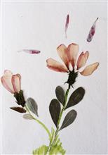 Handmade Greeting Cards using flowers and leaves by Gauri Ketkar - 10