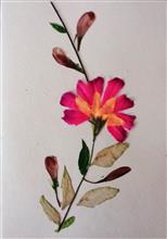 Handmade Greeting Cards using flowers and leaves by Gauri Ketkar - 12