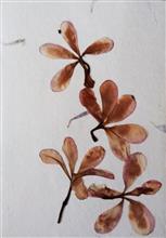 Handmade Greeting Cards using flowers and leaves by Gauri Ketkar - 14