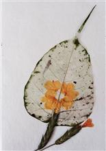 Handmade Greeting Cards using flowers and leaves by Gauri Ketkar - 22