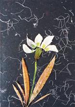 Handmade Greeting Cards using flowers and leaves by Gauri Ketkar - 23