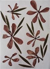 Handmade Greeting Cards using flowers and leaves by Gauri Ketkar - 3