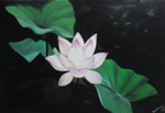 Water Lily, painting by Pallabee Borgohain, Oil on Canvas, 20 X 30 inches