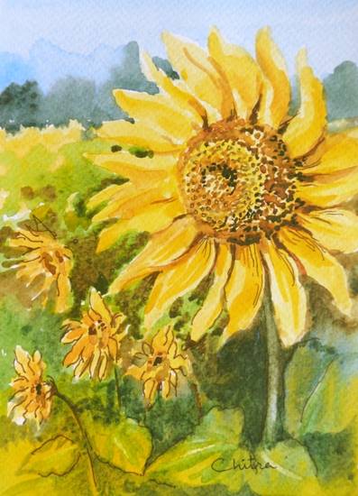 Painting by Chitra Vaidya - Sunflowers - 6
