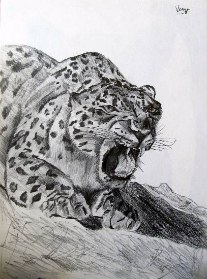 Painting by Varjavan Dastoor - Snow Leopard