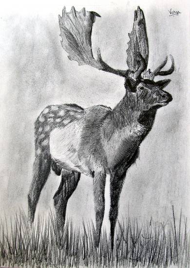 Painting by Varjavan Dastoor - Red Deer