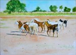 off to graze, Painting by Ramesh Jhawar
