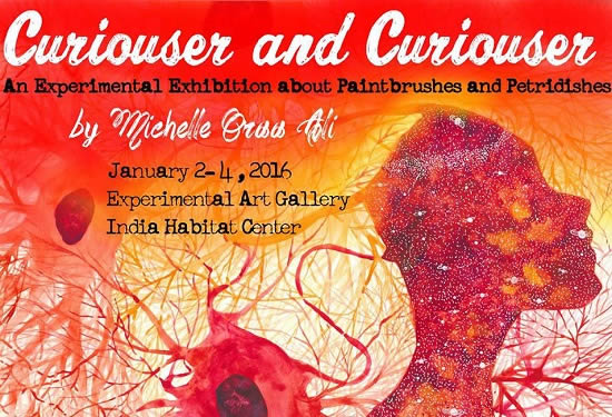 Invitation - Curiouser and Curiouser A Solo Show by Michelle Oraa Ali