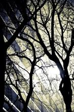 Abstract in Architecture - 10, photograph by Ajit Singh, HP 12 Color Photo Paper Satin (Thickness 240 gsm), 26 x 18 inches