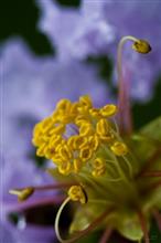 Abstract in Architecture - 19, photograph by Ajit Singh, HP 12 Color Photo Paper Satin (Thickness 240 gsm), 26 x 18 inches