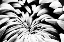 Abstract in Architecture - 21, photograph by Ajit Singh, HP 12 Color Photo Paper Satin (Thickness 240 gsm), 18 x 26 inches