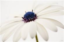 Abstract in Nature - 25, photograph by Ajit Singh, HP 12 Color Photo Paper Satin (Thickness 240 gsm), 18 x 26 inches