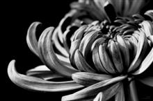 Abstract in Architecture - 26, photograph by Ajit Singh, HP 12 Color Photo Paper Satin (Thickness 240 gsm), 18 x 26 inches