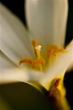 Abstract in Architecture - 27, photograph by Ajit Singh, HP 12 Color Photo Paper Satin (Thickness 240 gsm), 26 x 18 inches