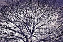 Abstract in Architecture - 28, photograph by Ajit Singh, HP 12 Color Photo Paper Satin (Thickness 240 gsm), 18 x 26 inches