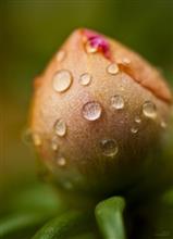 Abstract in Architecture - 29, photograph by Ajit Singh, HP 12 Color Photo Paper Satin (Thickness 240 gsm), 24 x 18 inches