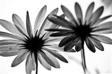 Abstract in Architecture - 30, photograph by Ajit Singh, HP 12 Color Photo Paper Satin (Thickness 240 gsm), 18 x 26 inches