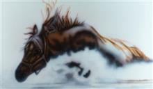 Water Shy, painting by Raqesh Vashisth, Acrylic on Canvas, 36 x 60 inches 