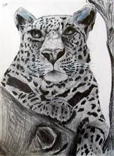 Untiled - 2, Painting by Varjavan Dastoor, Pencil on Paper, 12 x 9 inches