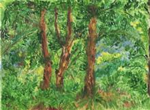 A Walk in the Woods, Painting by Amrita Banerjee, Oil on Canvas, 20 x 16 inches