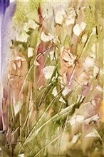 Autumn Whispers, Painting by Manju Srivatsa, Watercolour on Paper, 22 x 15   inches