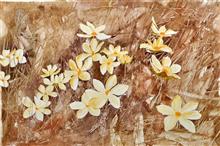Bush Daisies, Painting by Manju Srivatsa, Watercolour on Paper, 15 x 22 inches