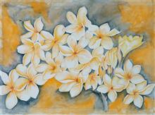 Frangipani - 2, Painting by Manju Srivatsa, Watercolour on Paper, 14 x 19  inches