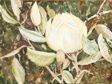 Ice Maiden, Painting by Manju Srivatsa, Watercolour on Paper, 15 x 22  inches