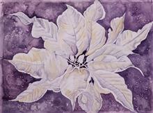 Poinsettia Single, Painting by Manju Srivatsa, Watercolour on Paper, 14 x 19 inches