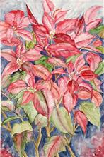 Poinsettia, Painting by Manju Srivatsa, Watercolour on Paper, 22 x 15  inches