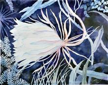 Brahmkamal, Painting by Manju Srivatsa, Watercolour on Paper, 14 x 19  inches