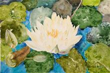 The Lotus, Painting by Manju Srivatsa, Watercolour on Paper, 15 x 22 inches