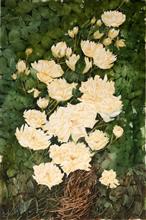 White Roses - Green, Painting by Manju Srivatsa, Watercolour on Paper, 22 x 15   inches