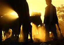 Untitled - 9, Photography by Kumar Mangwani