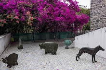 Beautiful light, lovely bougainvillea, amazing bronze sculptures at Indiaart Gallery