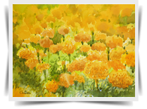 Marigold Fields V, Painting by Chitra Vaidya, Watercolour and Ink on Paper, 7 X 10.5 inches